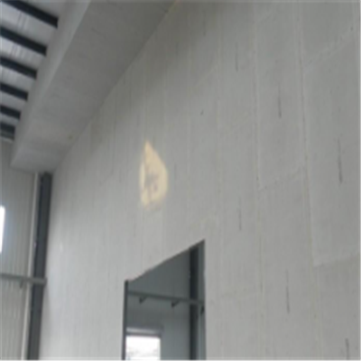 延安宁波ALC板|EPS加气板隔墙与混凝土整浇联接的实验研讨